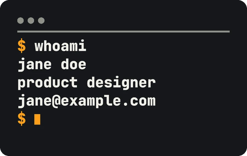 Verso estilo terminal: $ whoami, nome, cargo e email