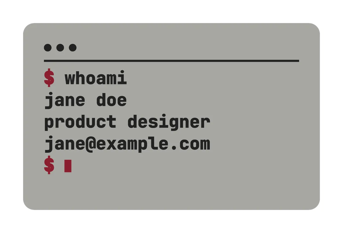 The Retro card's back: gray, with a terminal window: "$ whoami", then jane doe, product designer and jane@example.com, in dark gray and wine red.