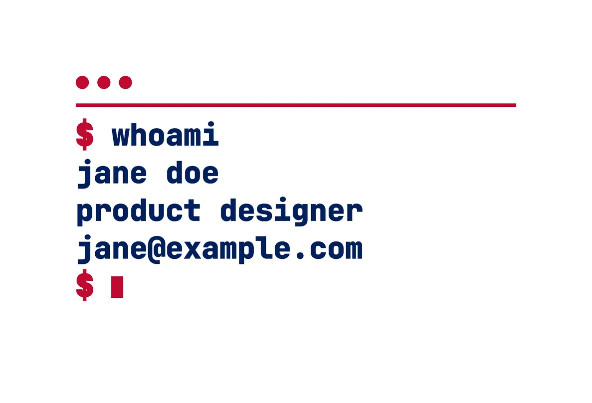 The USA Light card's back: white, with a terminal window: "$ whoami", then jane doe, product designer and jane@example.com, in navy and red.