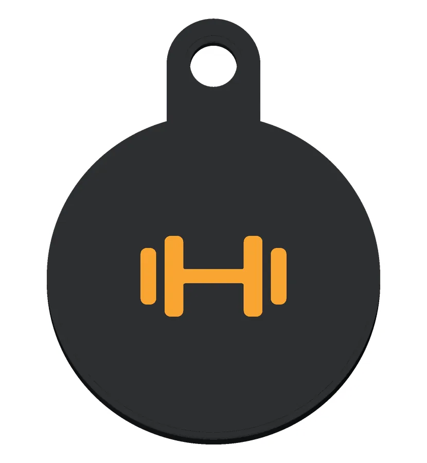 The Fitness icon.