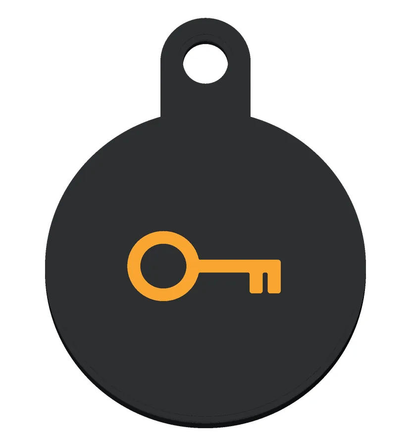 The Key icon.